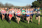 Senior womens 2020 Birtley Cross Country Relay, County Durham.  Photo: David T. Hewitson/Sports for All Pics